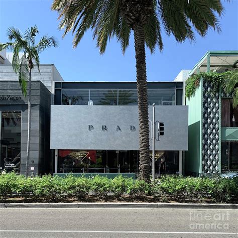 prada rodeo drive